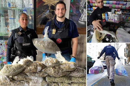 NY seizes 11,000 pounds of pot worth over $54M from illegal storefronts