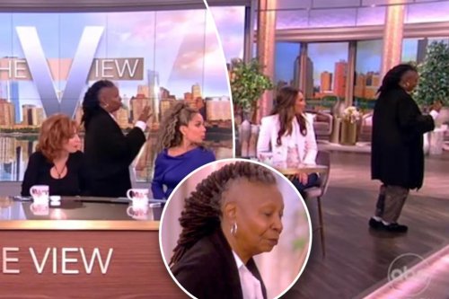 Whoopi Goldberg stopped physical altercation on ‘The View,’ audience member claims