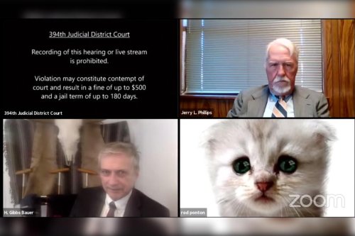 Zoom filter transforms lawyer into cat during court hearing
