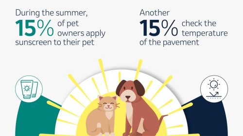 Everything New York Post | @NYPost | Flipboard