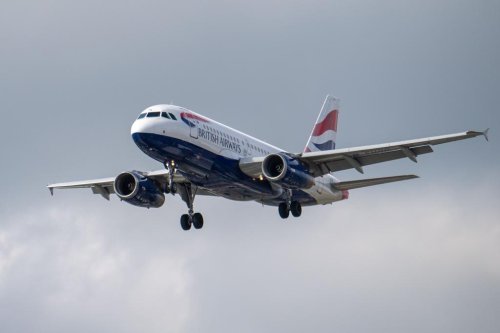Flight with ‘fumes in the cabin’ makes emergency landing in Boston after striking a bird