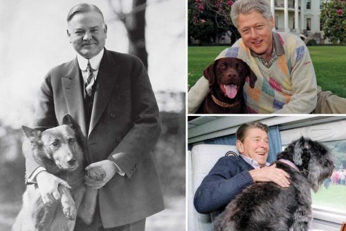 10 photos of adorable presidential dogs and their owners-in-chief