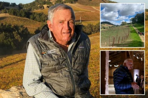 Left-wing Swiss billionaire Hansjorg Wyss proposed ‘threesomes’ with female worker and future hubby, wild sex harassment suit claims