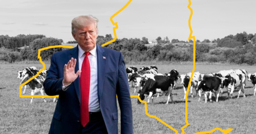Trump Freeze Leaves New York Farmers in Limbo