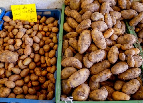 Senators Urge Biden Administration To Protect Potato’s Status as a ‘Vegetable’