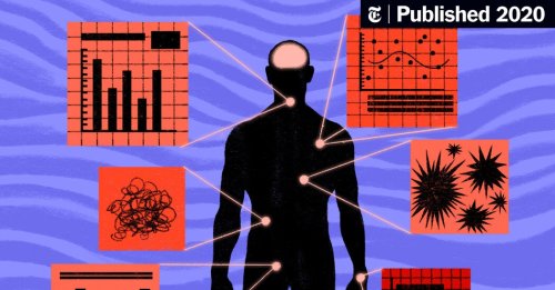 Your Brain Is Not for Thinking