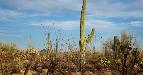 Tucson, Ariz.: Western Skies and Competitive Home Prices
