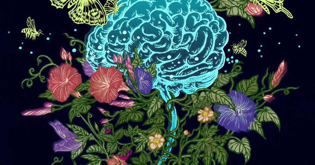 BRAIN HEALTH