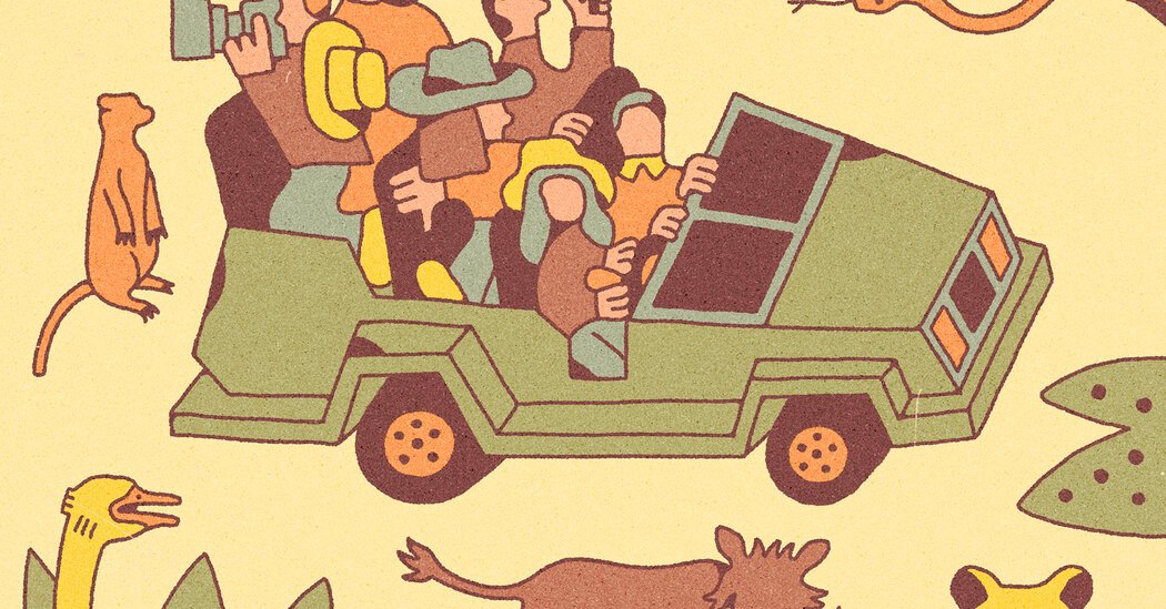 How to Plan an African Safari