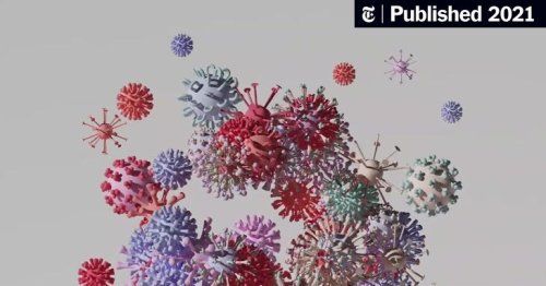 Opinion | The Secret Life of a Coronavirus (Published 2021)