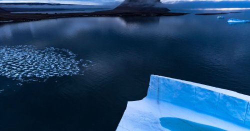 Arctic Warming 4 Times as Fast as the Rest of the Planet, New Analyses Find
