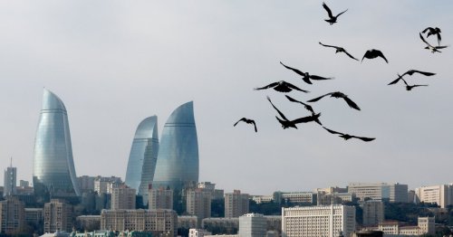 Travel Pledged to Help Cut Carbon Emissions. How Has It Done?