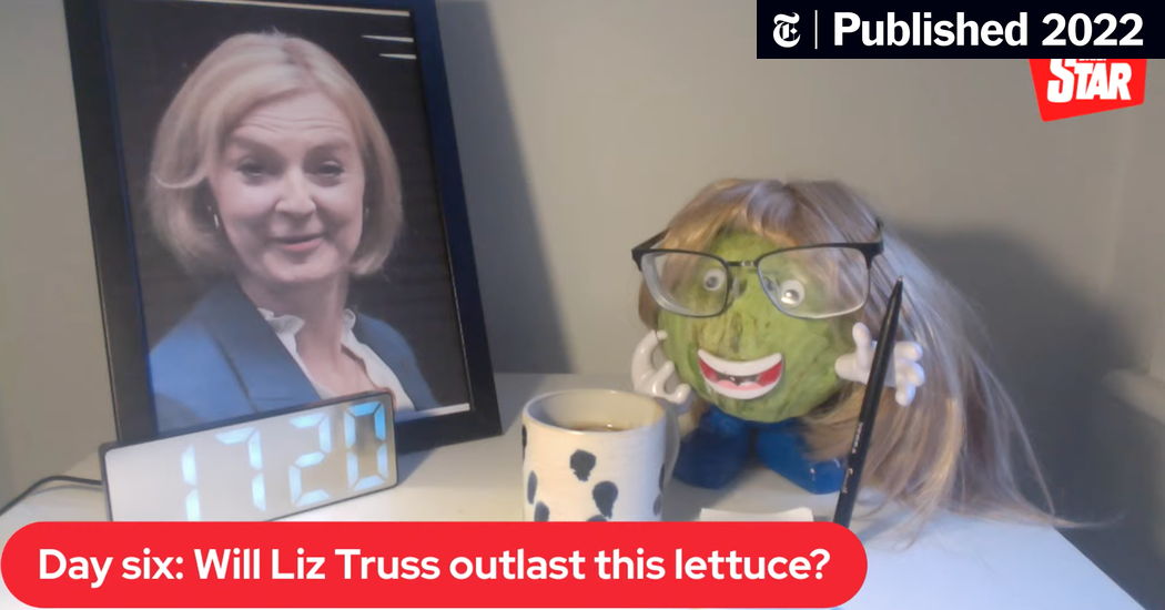 The Lettuce Outlasts Liz Truss (Published 2022)
