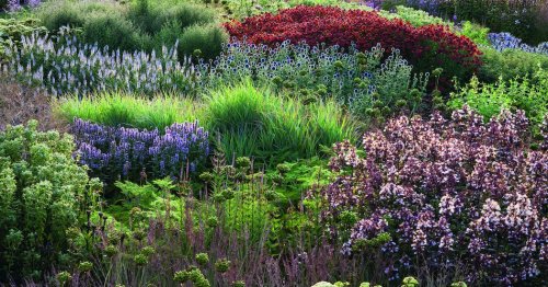 What Makes a Garden a Work of Art? Piet Oudolf Explains.