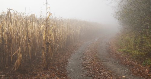 The Climate Solution That’s Horrible for the Climate