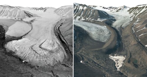 A Trove of Old Photos Could Reveal the Future of These Arctic Glaciers