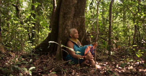 ‘Magic in Her Hands.’ The Woman Bringing India’s Forests Back to Life