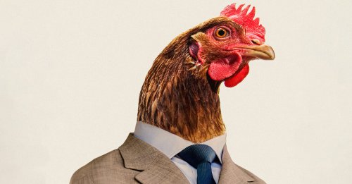 The Chicken Tycoons vs. the Antitrust Hawks