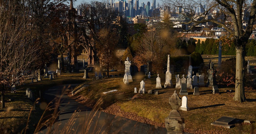 Life After Death: America’s Cemeteries Are Rewilding | Flipboard