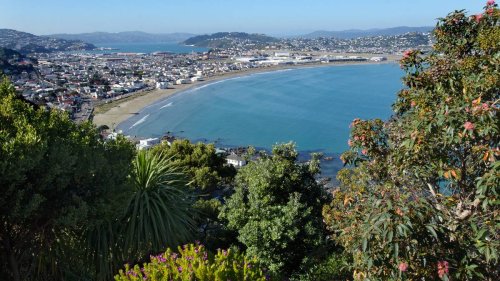 Swimmers warned after shark spotted at popular Wellington beach Lyall Bay