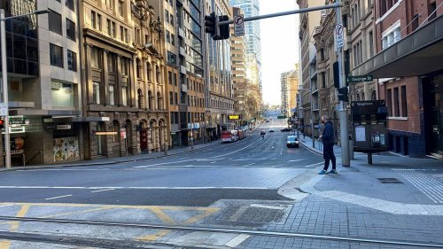 Covid 19 coronavirus: NSW records 35 new cases, Sydney outbreak grows to 312 - NZ Herald