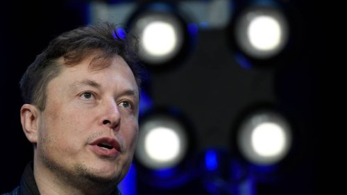 Elon Musk quietly had twins with executive Shivon Zilis - report
