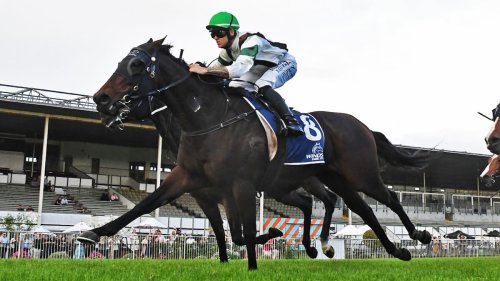 Travis Stakes redemption for Val Di Zoldo