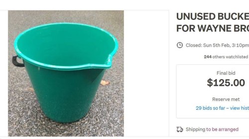 Unused bucket ‘for Mayor Wayne Brown’ sells for $125 to raise money for Auckland flood relief