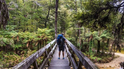 Best NZ hikes: Switch off and reset with a good walk