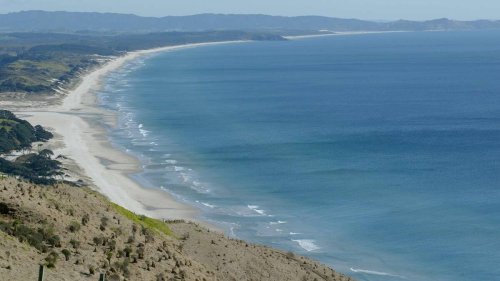 Pākiri mana whenua’s victory may be brief as fast-track approval bill offers miners new chance