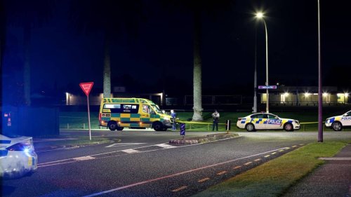 Simon Tavita, convicted of killing man in Manurewa’s Jellicoe Park, deported to Samoa