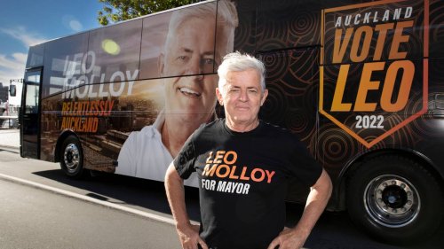 Hayden Munro: Auckland mayoral election's three-way split
