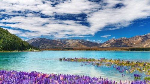 How do visitors see New Zealand? A US-based travel writer shares her feelings on Lake Tekapo