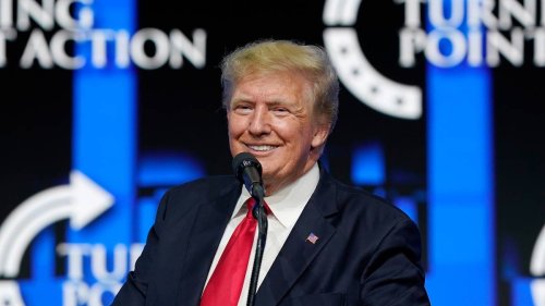 Donald Trump sues niece, New York Times over records behind 2018 tax story - NZ Herald