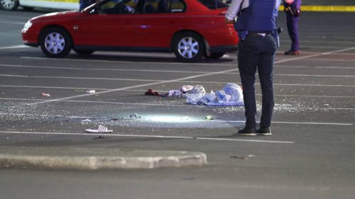 Auckland shooting: Victims hospitalised after disorder incident in Clendon Park
