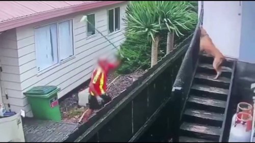 NZ Post courier seen lashing out at dog while delivering package