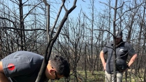 ANZAC Day: Battlefield remains uncovered by wildfires in Gallipoli