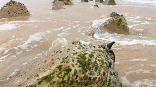 WWII 'traps' uncovered by devastating beach erosion