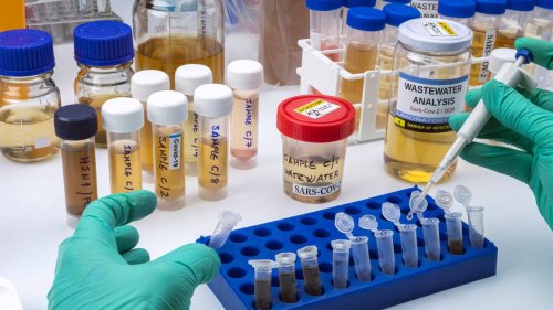 Covid 19 coronavirus: Positive result in New Plymouth wastewater - what does it mean? - NZ Herald