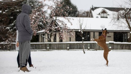 Weather: First significant snowfall of the year forecast as cold snap hits
