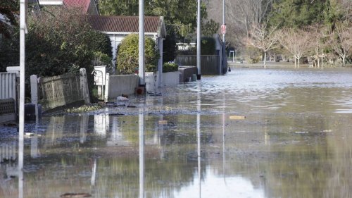 Anzac Parade flood plan: Cost of raising houses would be 'eye-watering'