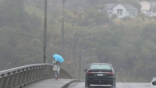Weather: Snow warning for Desert Rd, rain for Whanganui - NZ Herald