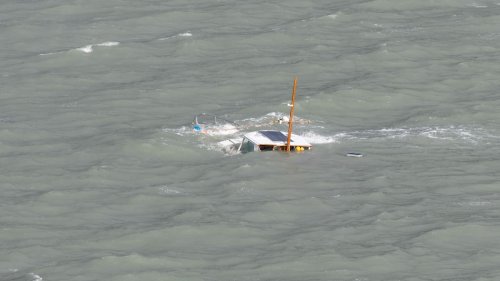 Yacht sinks in Cass Bay during storm while dog is rescued