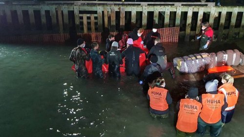 Baby orca Toa set to be returned to sea pen as search efforts for pod continue - NZ Herald