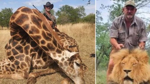 Lion killing trophy hunter gunned down in 'execution-style' murder