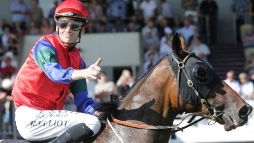 Racing: Kiwi horses claim two $1 million wins | Flipboard