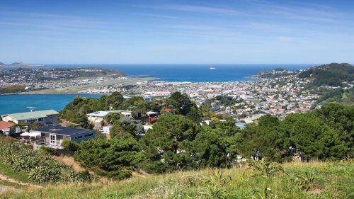 Public sector cuts: Trade Me data shows impact being felt in Wellington with drop in listings and salaries