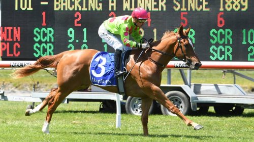 Racing: Tony Pike depending on Impendabelle
