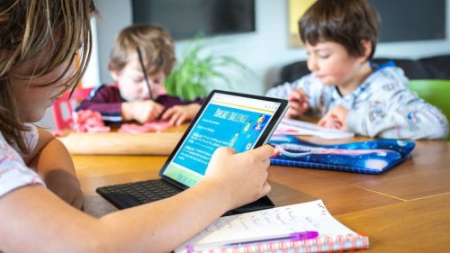 Covid-19 Delta outbreak: How to survive another term of homeschooling during lockdown - NZ Herald