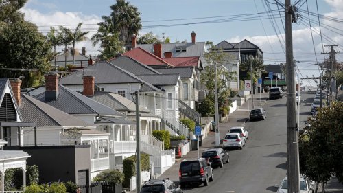 Record number of home owners fix on one year terms as they bet on interest rates falling